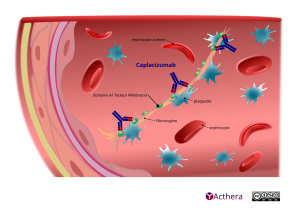 Mécanisme d'action de Caplacizumab décrit en détail par le texte de la fiche.