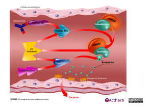 Visuel du m&eacute;canisme d'action de l'anticorps monoclonal Garadacimab.